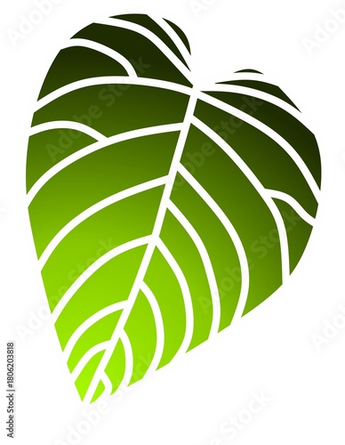 Fotografija A curved green leaf with bold white veins and smooth gradient tones, suitable for eco projects, botanical decor, and nature branding