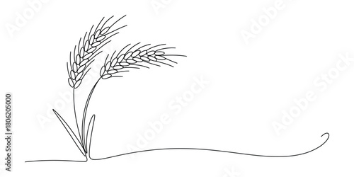 Minimalist continuous line art drawing of two ripe wheat stalks