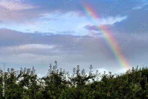 rainbow in the sky