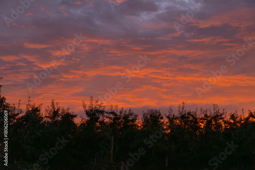 sunset over the field