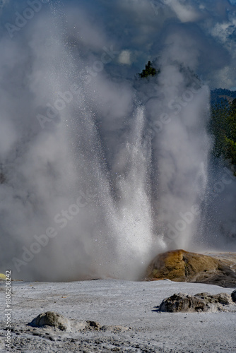 geyser in yellowstone national park