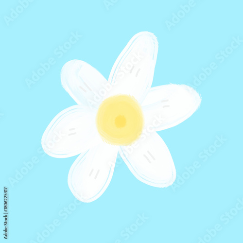 Tapeta white flower on blue background
