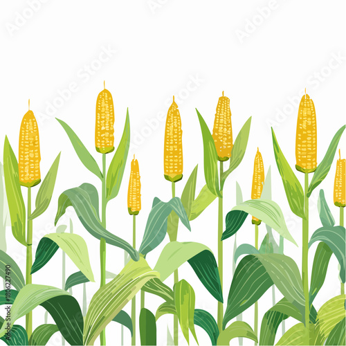 A vibrant illustration of a row of corn stalks with ripe yellow cobs and lush green leaves, perfect as a seamless border