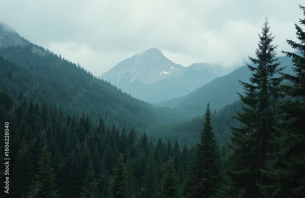 Fototapeta premium Mountain landscape with dense pine forest at cloudy day. Peaks covered with snow visible through fog. Green trees create scenic panorama of mountain woodland. Nature concept for travel destination