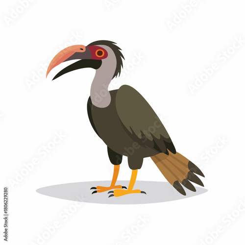 Illustration of a striking bird with a long, curved beak and distinctive markings, presented in a clean, isolated vector graphic style