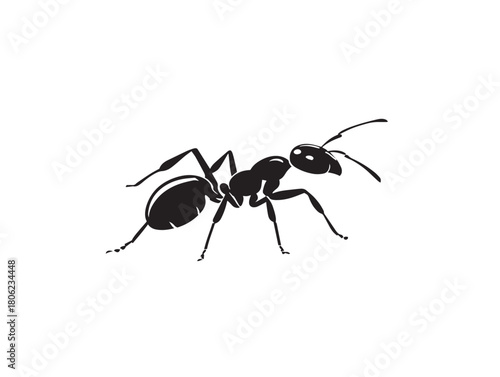 Elegant insect colony ant silhouette vector illustration element