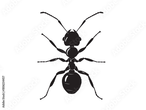 Simple bold ant figure silhouette vector illustration design