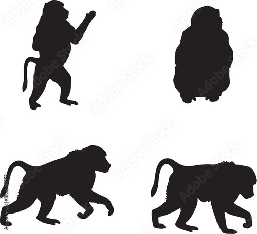 Four Silhouette Baboons in Different Poses on White Background Keywords: baboon, monkey, primate, animal, silhouette, wildlife, mammal, ape, zoo, nature, safari, also transparent background