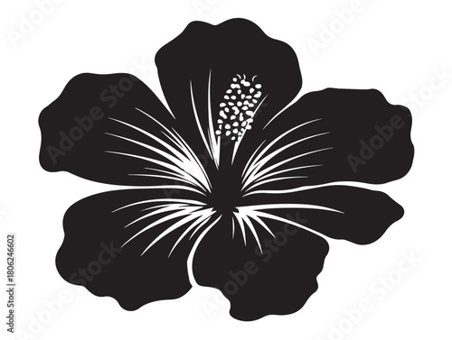 Beautiful hibiscus icon vector illustration with a nice and elegant floral shape