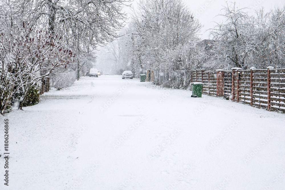 Fototapeta premium Snow-Covered Residential Street with Parked Cars During Winter Storm