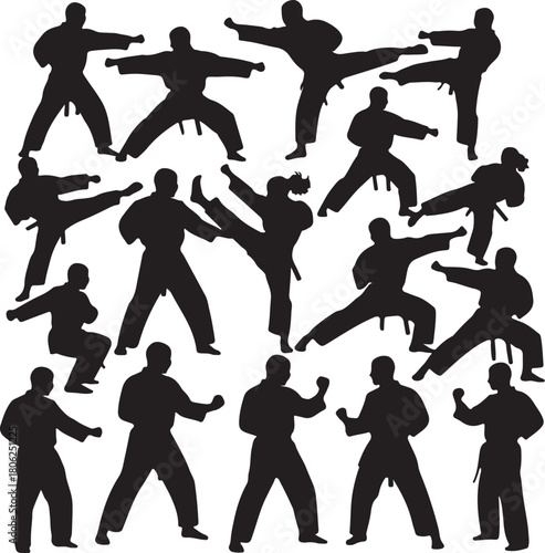 Silhouette Collection of Karate Fighters in Various Martial Arts Poses Keywords: karate, silhouette, martial arts, fighter, warrior, combat, action, pose, kick, punch, on transparent background