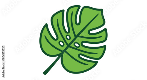 green leaf isolated on white background