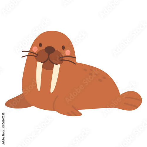 cute walrus animal hand drawn cartoon character flat color vector illustration template design