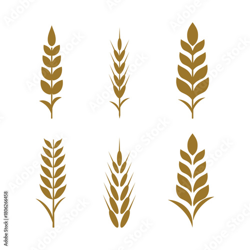 set of wheat grain icon with gold and isolated color