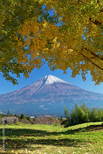 The autumn leaves during this season are beautiful