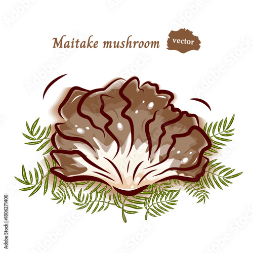 舞茸のポップアート素材｜かわいいキノコのベクターイラスト