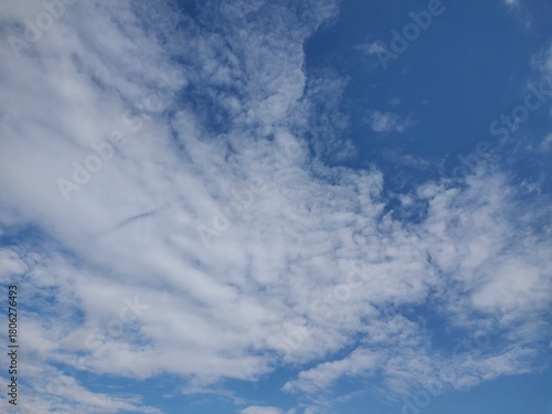 東京のそら(25.11.19）