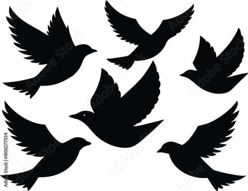 Flying Birds Silhouette Set – Flock of Birds Vector Illustration