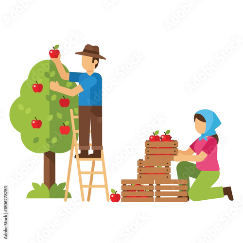 A farmer on a ladder picks apples from a tree, while a woman stacks crates of harvested apples.