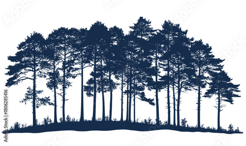 Detailed silhouette of pine and fir trees forest on hill side view isolated on white background in vintage monochrome style vector clipart for nature design and outdoor concepts