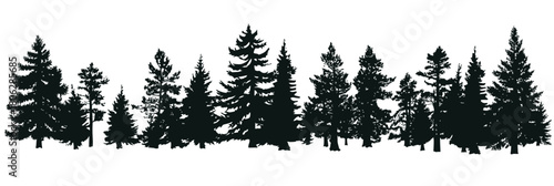 Horizontal silhouette set of diverse coniferous spruce fir trees in flat minimalist vector style on white background for forest nature design elements
