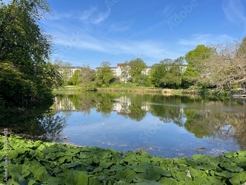 Photography Ørstedparken in Copenhagen, Denmark