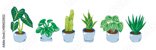 Set of Potted Plant in Hand-drawn style, botanical vector collection,  indoor greenery plant, tropical decor design elements illustration
