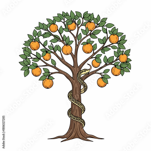 Orange tree with snake winds around trunk of tree, its winding form encircling. Beautiful orange tree is entwined, symbolizing temptation, fruit-bearing, and sin.