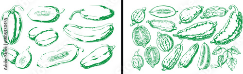 Vegetable illustration vector, healthy food drawing, organic farm artwork, garden fresh produce design, edible vegetable clipart, hand drawn food art, culinary kitchen element, natural ingredients vec