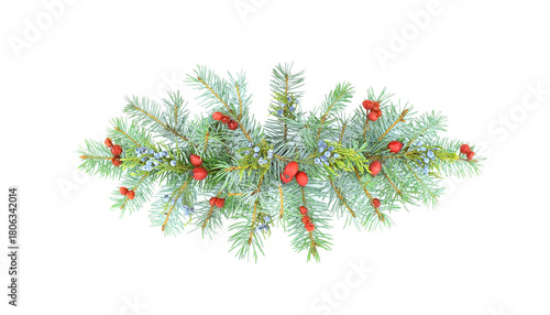 Christmas arrangement of fir branches decorated with berries, isolated on white background. Garland. Christmas design element.