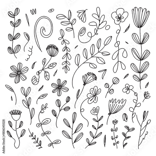 Flora Design, the art of using plant materials and flowers to create a balanced and visually appealing arrangement