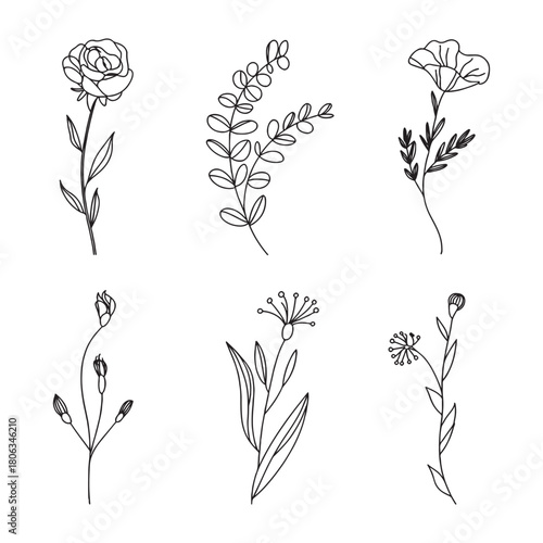 Flora Design, the art of using plant materials and flowers to create a balanced and visually appealing arrangement