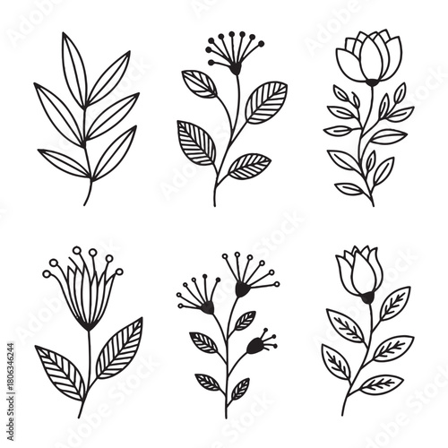 Flora Design, the art of using plant materials and flowers to create a balanced and visually appealing arrangement