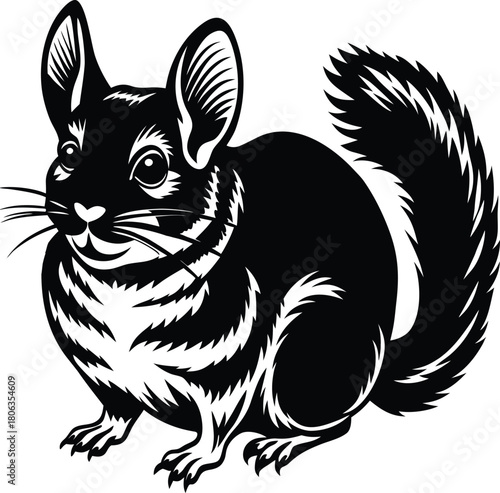 Detailed black and white illustration of a chinchilla with large ears and bushy tail on a white background