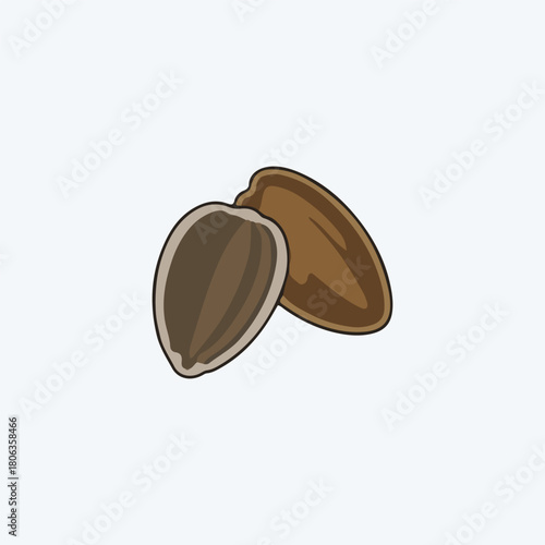 Two sunflower seeds, one with the shell partially removed, revealing the kernel, isolated on a white background.