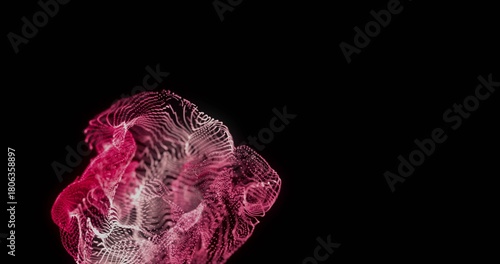 Flowing magenta-pink luminous mesh undulating on deep-black background, with fine lines, copy space