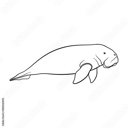 Line art illustration of a dugong swimming, depicted in a simple, clean style against a white background.