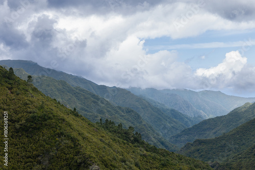 Lush Madeira highlands with dense forest cover, layers of misty mountain ridges unfold toward the horizon beneath shifting clouds after rain
