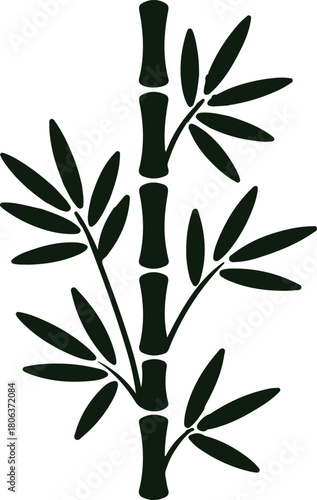 Bamboo vector illustration featuring a single dark green stalk with multiple leaves on a black background
