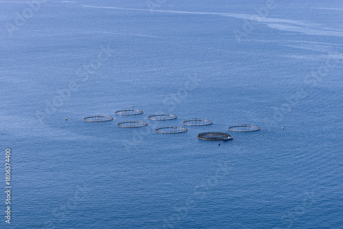 Offshore mussel farm with circular floating cages spread across calm blue water, creating a minimal seascape where evenly spaced rings mark the active aquaculture area