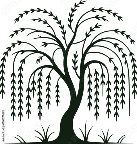 Weeping willow tree vector silhouette with elegant drooping branches and lush foliage on dark background