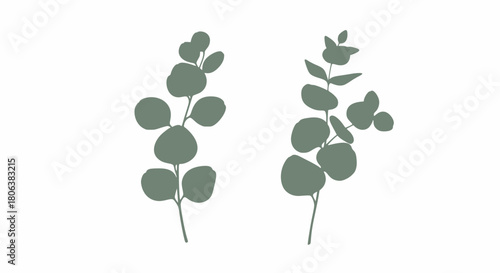 Elegant eucalyptus branches bring a serene, botanical touch to your designs with a modern organic feel perfect for spring and summer projects