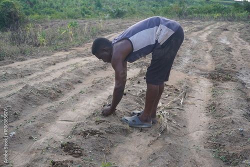 A lone African farmer planting seeds in the open field