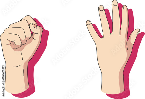 Fist and open hand gesture illustration, contrast concept, strength versus openness, pink shadow, vector design, human emotion, symbolic communication, white background