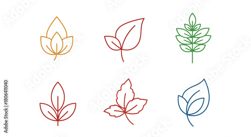 Colorful hand drawn leaves collection with varied shapes and vibrant colors