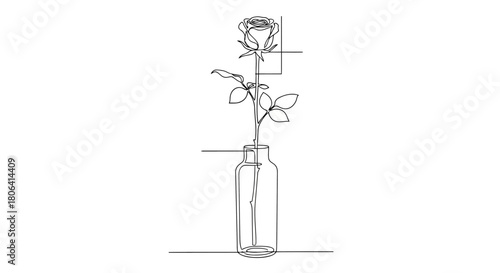 Minimalist continuous line art drawing of a single rose flower with leaves in a glass vase, elegant and simple botanical illustration
