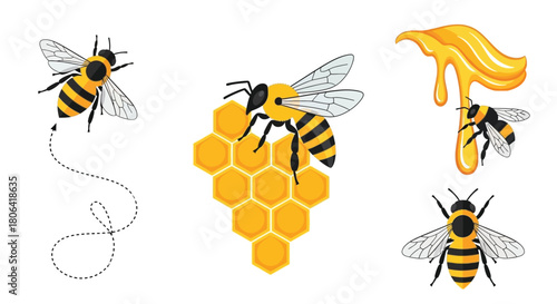Illustration of bees honeycomb and dripping honey in a stylized design