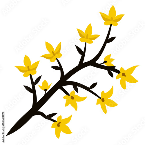 silhouette  forsythia hardy yellow 