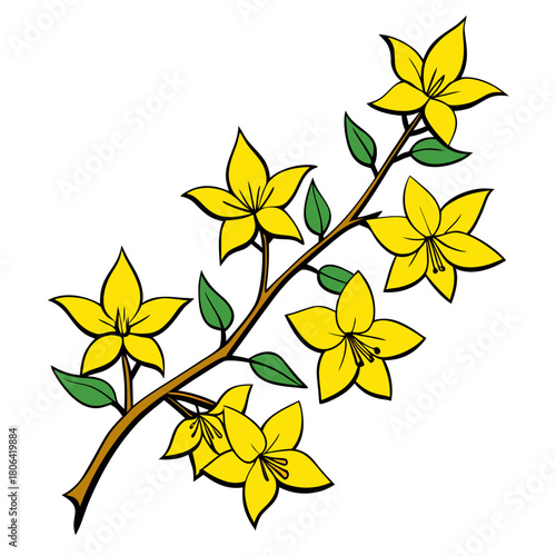 a branch of  forsythia hardy yellow flower line art