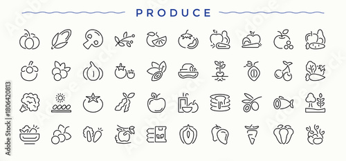 Produce line icon set. Modern thin line style icons. Nature modern icon set. Pack of leaf, basil and leaves, leaves, nature, plant, herb, basil and more.